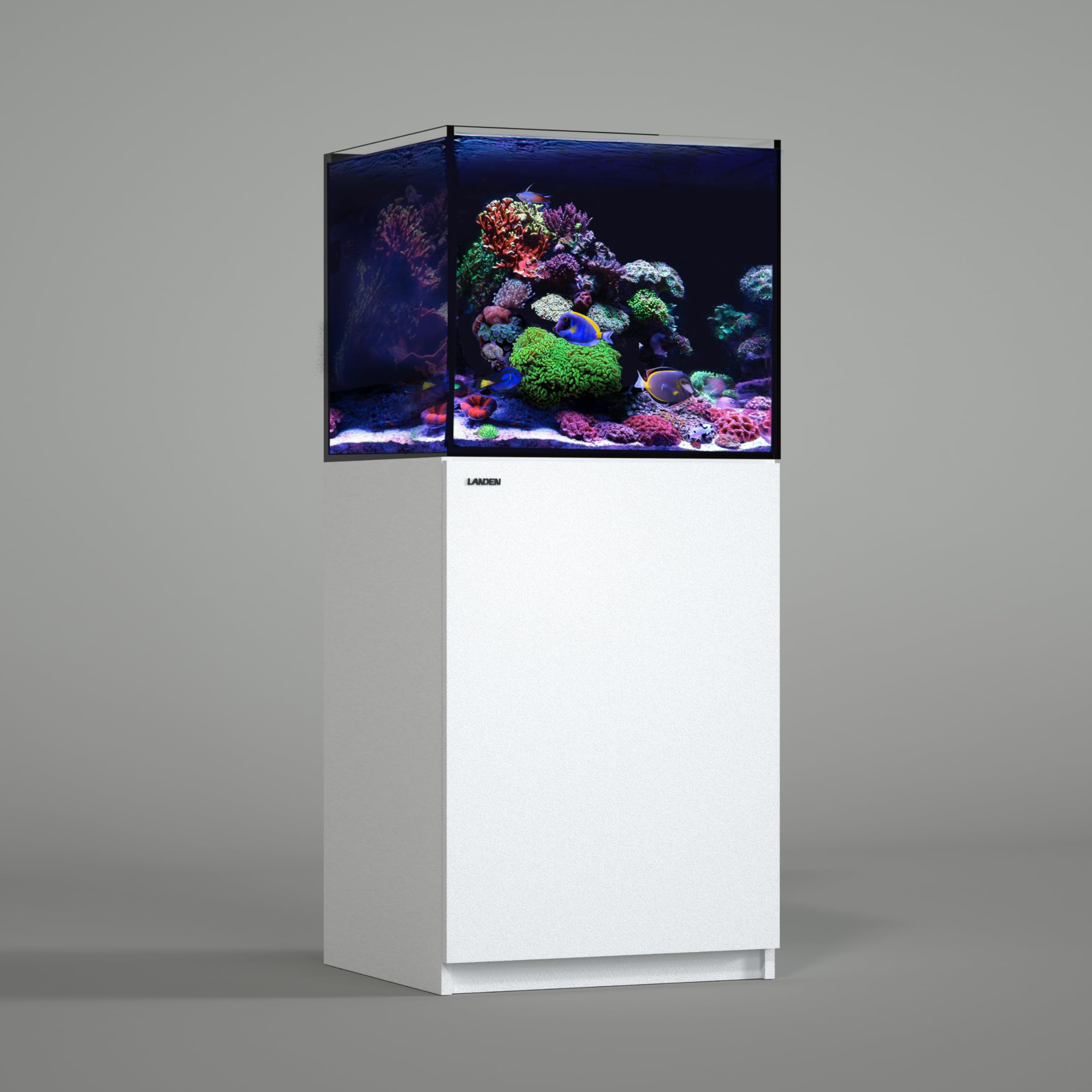 FISH TANK 会報 FT.001〜FT.015 + vol.0他 Amazon.com : LANDEN RS60 Ready Sump Aquarium Tank – 24